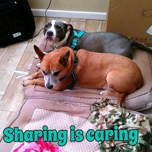 Sharing is caring